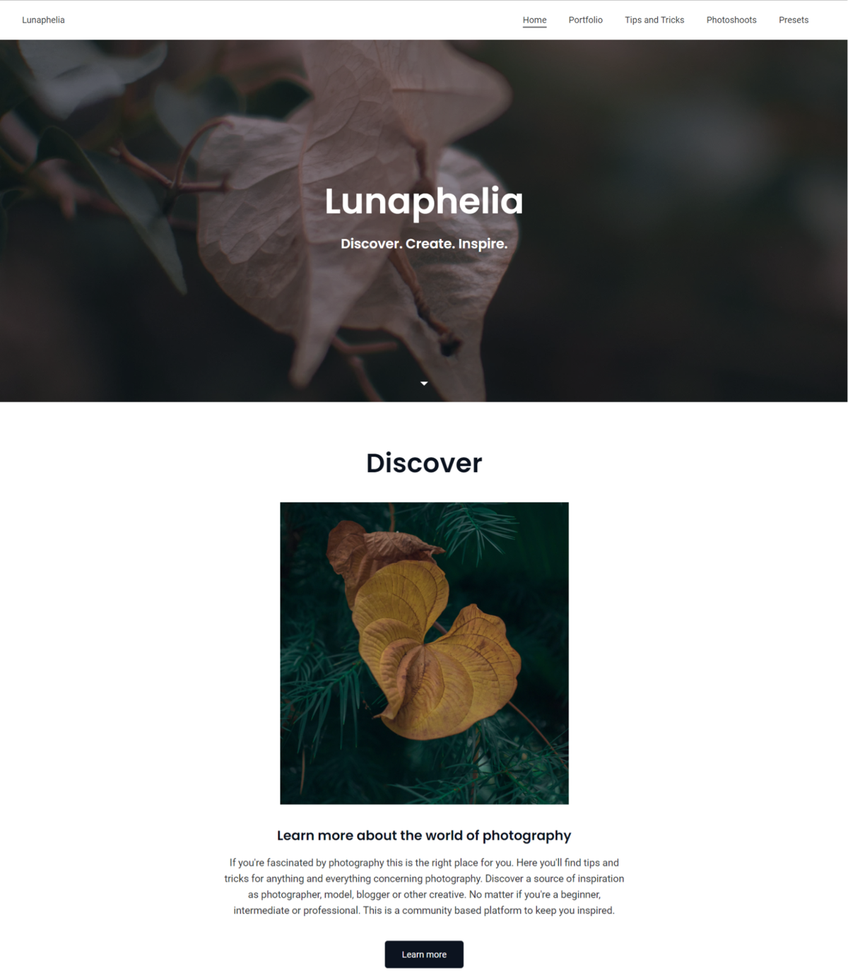 Screenshot of Lunaphelia , from the jimdo websites collection.