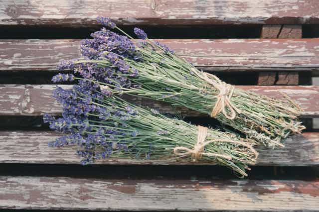 Bundles of vervain flowers on a textured surface