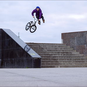 Tailwhip bmx bike online