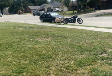 2024 HARLEY-DAVIDSON BREAKOUT 117 motorcycle for rent near McKinney, TX