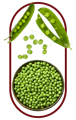 An image depicting green peas arranged inside and outside of a red oval frame. Peas are shown inside a bowl, scattered, and in open pods. One of key ingredients in NANOSKIN Hair Tonic