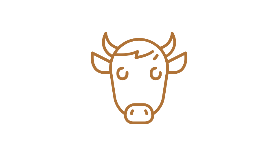 Orange image of a cow - icon style