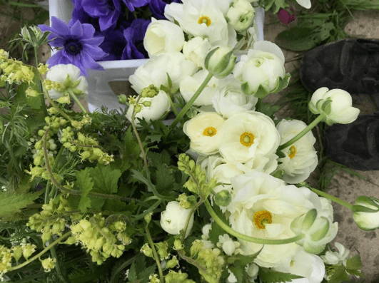 A Selection of Seasonal Flowers