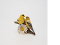 Goldfinch Sculpture 