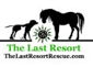 The Last Resort logo