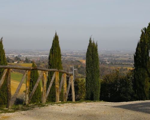 Tour enogastronomici Bologna: Degustazione di vini e cena tradizionale sulle colline 