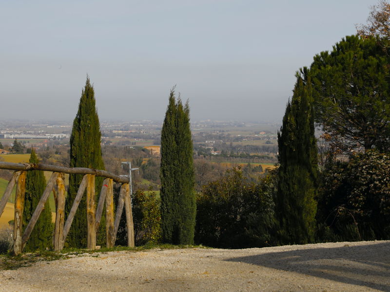 Tours enogastronómicos Bolonia: Cata de vinos y cena tradicional en las colinas. 