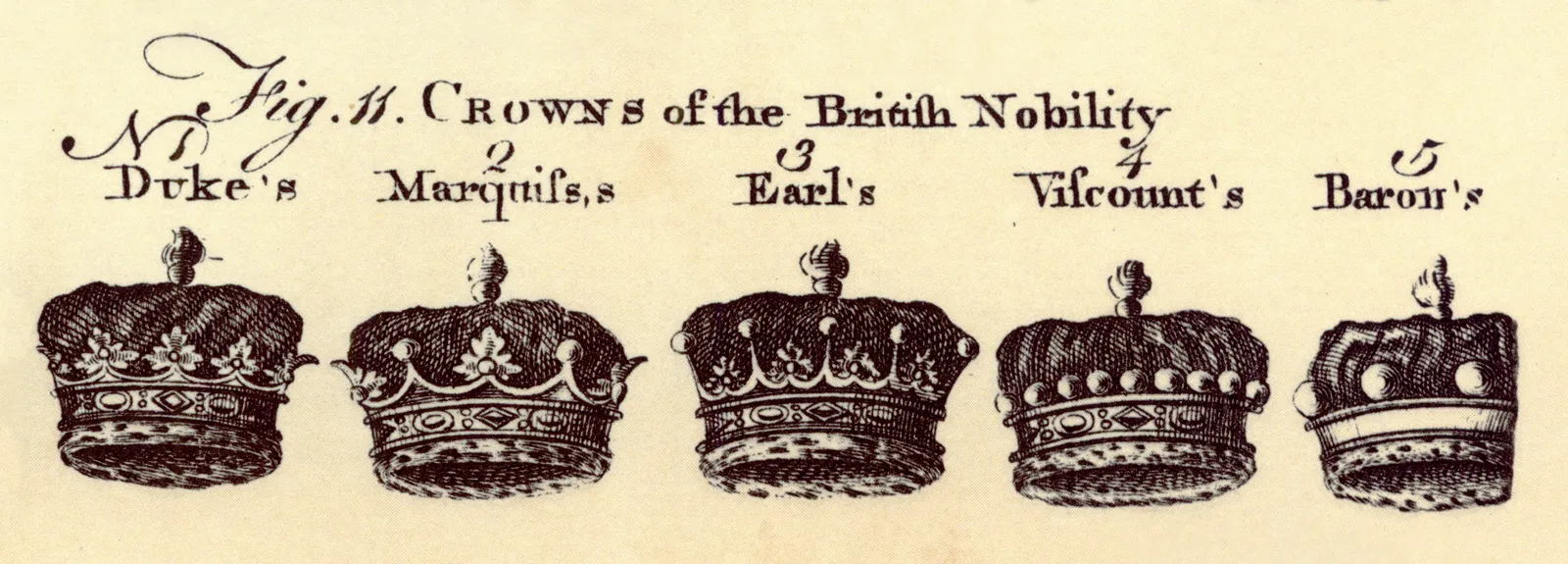 British Nobility: Ranks, Titles, and Peerage System