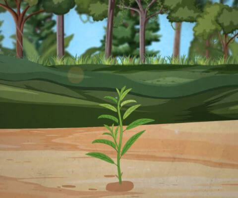 Documentary explainer video