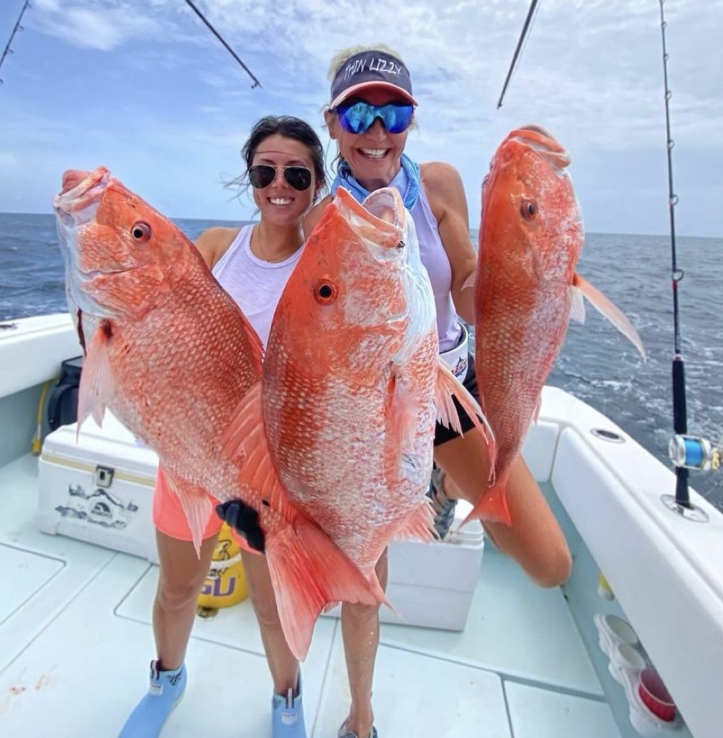 Full Day Offshore Private Charter