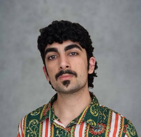Dana Arab Ovisi
