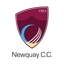 Newquay Cricket Club logo