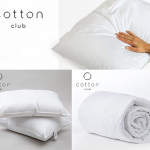 Set of Twin Size Duvet Blanket and 2 Pillows