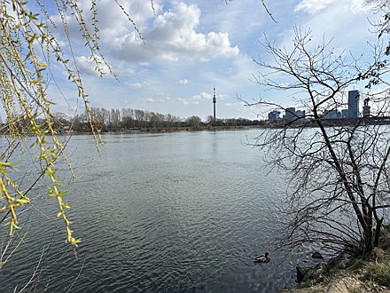  Wien
- Alte Donau