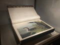 james audubon book, birds of america on display. Vintage Frog Surrey Antiques