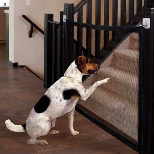 Portable Pet Safety Door