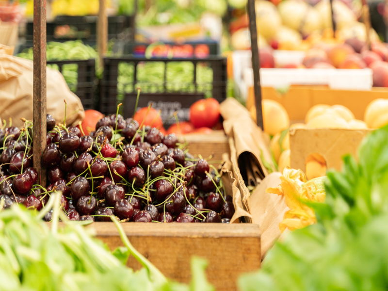 Food & Wine Tours Verona: A walk through Verona’s historic shops & cooking class