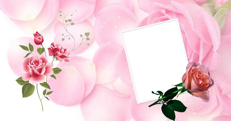 Фотокнига в розовых тонах для Фотошоп в PSD формате