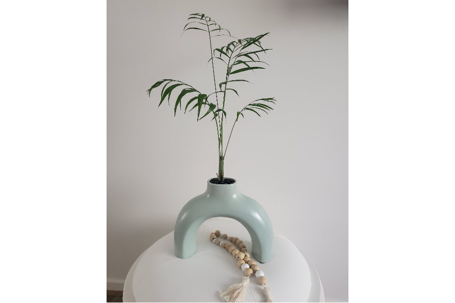 Leafy Lovers Voucher - Image 10