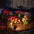 Garden spike light illuminating colourful flowers and planting in a landscaped garden bed.
