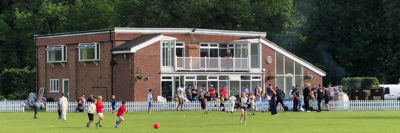 Chalfont St Peter Cricket Club Logo