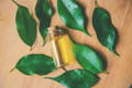 Tea Tree Oil promote hair growth
