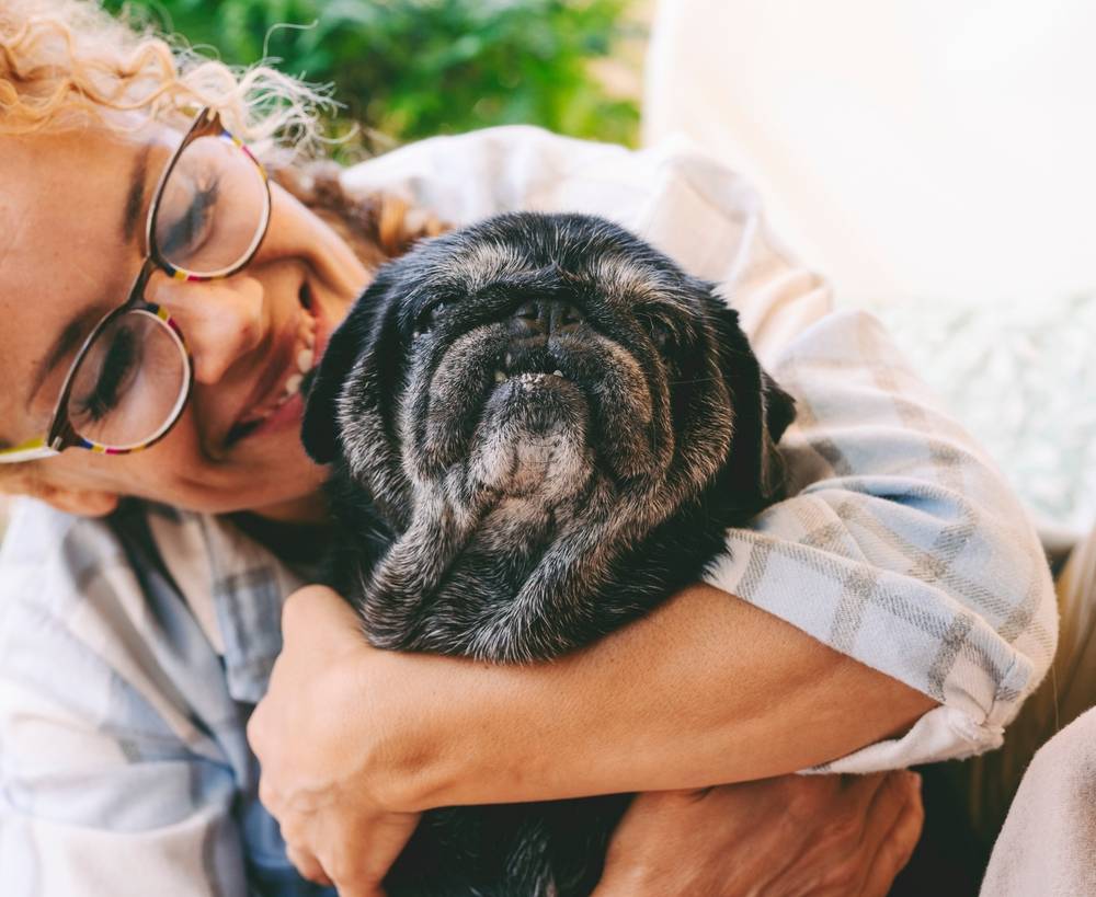 Pug senior dog with white fur around the face being hugged by his owner.