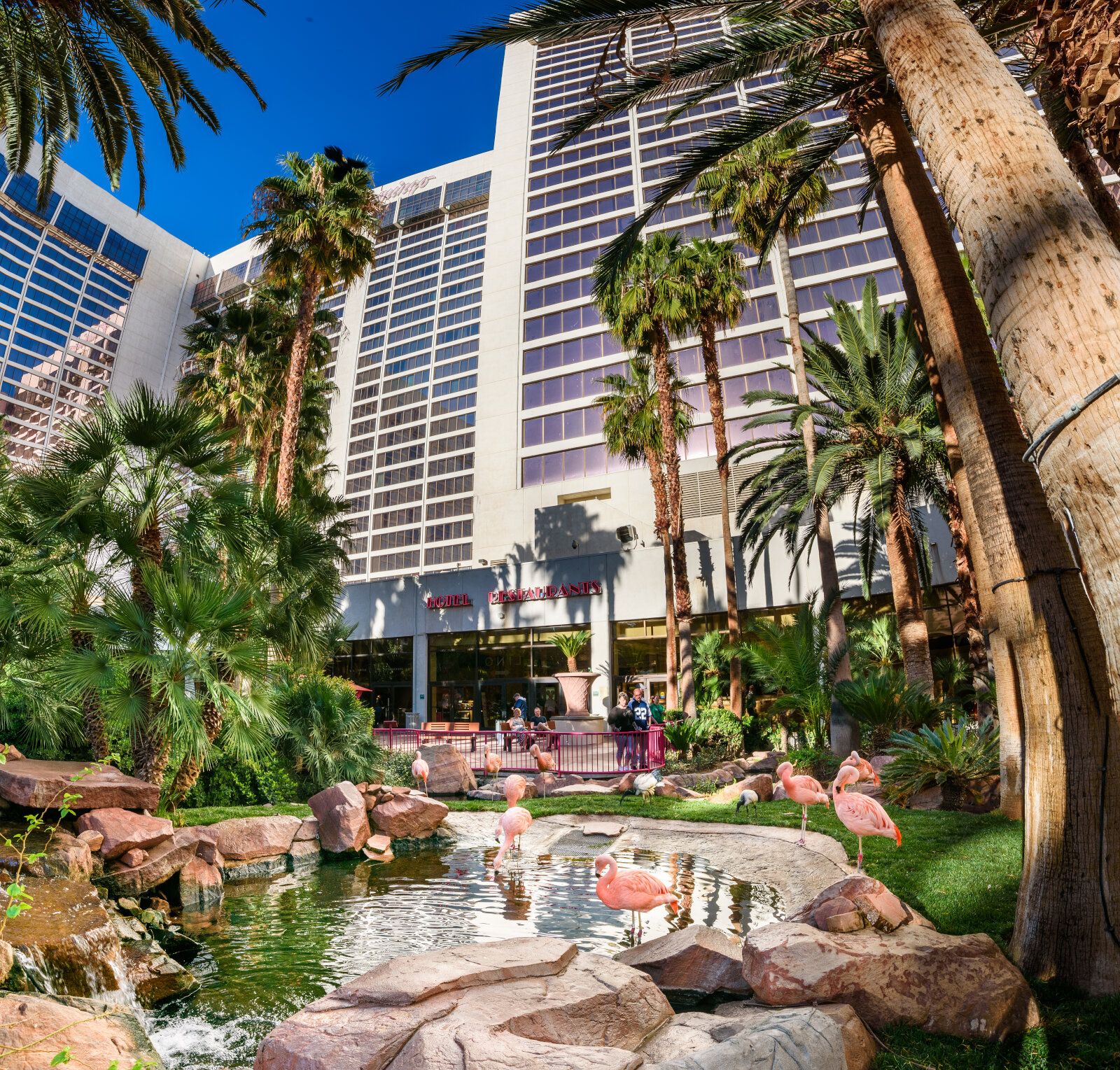 Flamingo Wildlife Habitat Uploaded on 2021-12-14