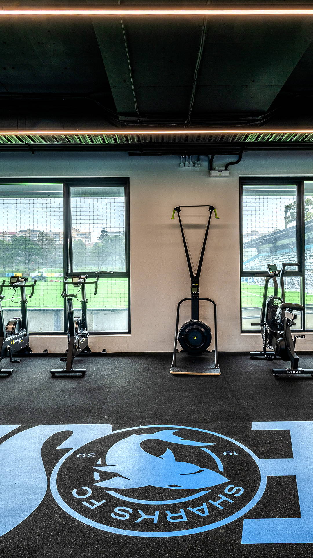 Pendant Lighting by Havit Commercial - Illuminating a gym space at Sharks FC HQ NSW