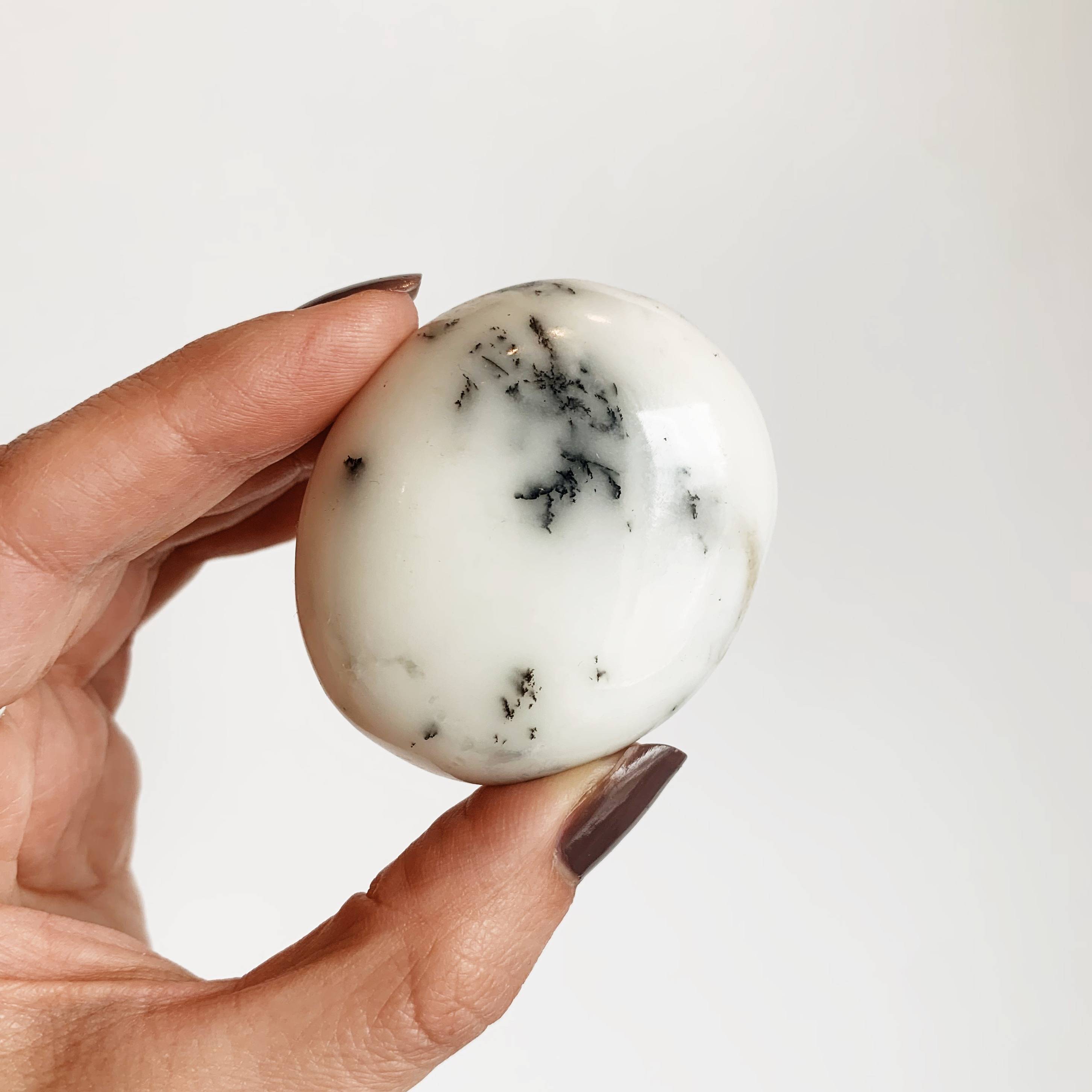Crystals for Gemini: White Dendritic Agate Palm Stone