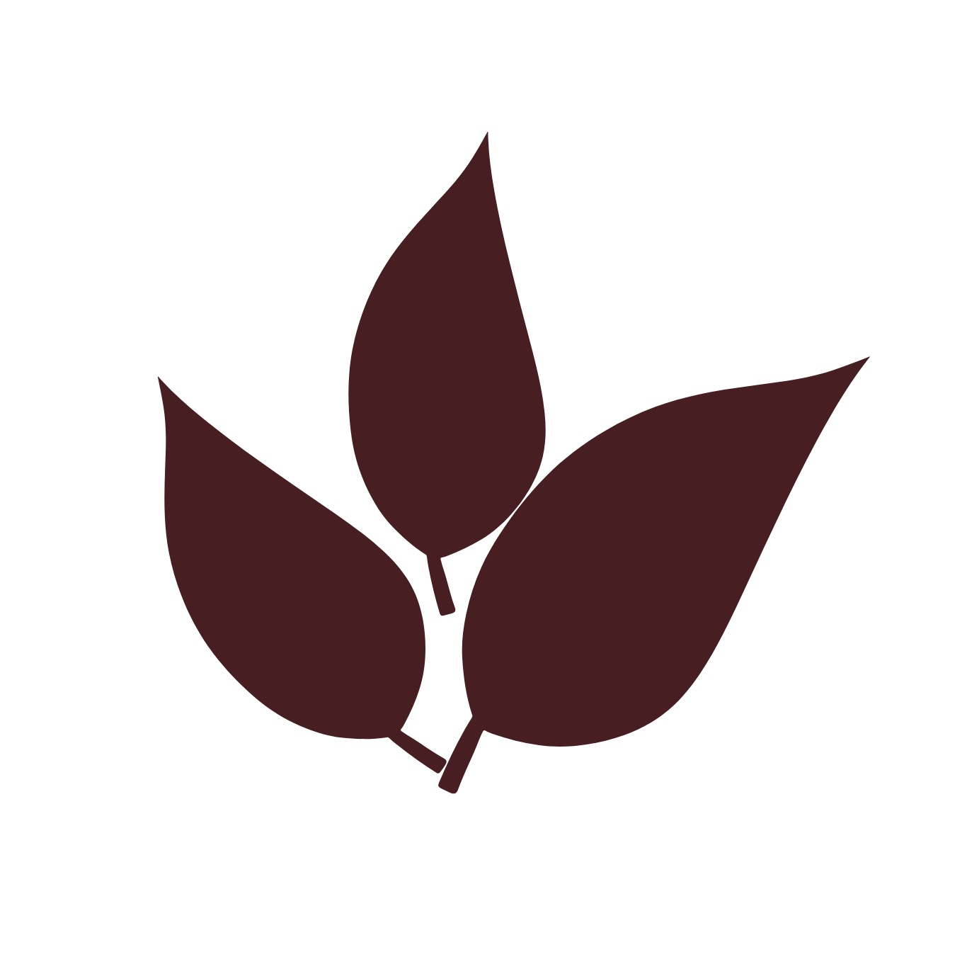 Lutein food sources used in the best Multivitamins for men