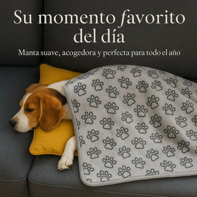 Camas para perros