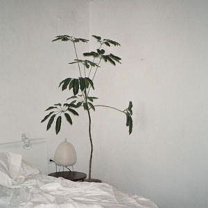 House Plant Fund!