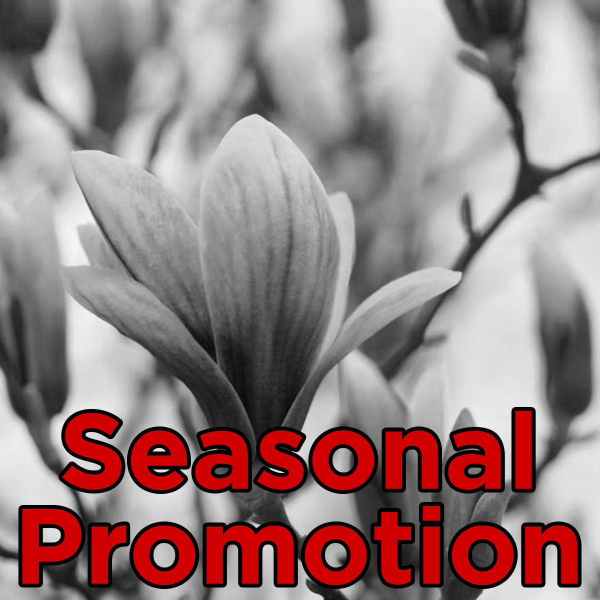 Products suited for specific times of year, holidays, or seasonal campaigns.