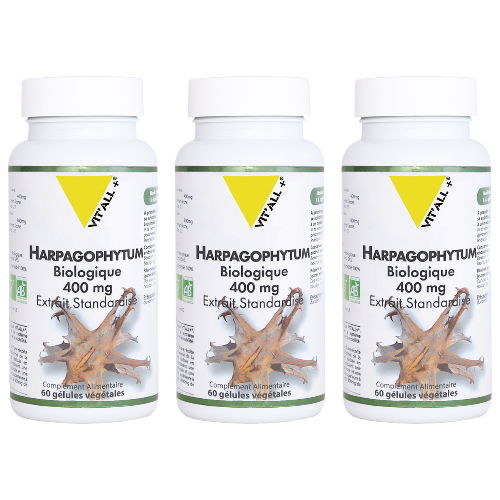 Harpagophytum Bio Extrait Standardisé - Lot de 3