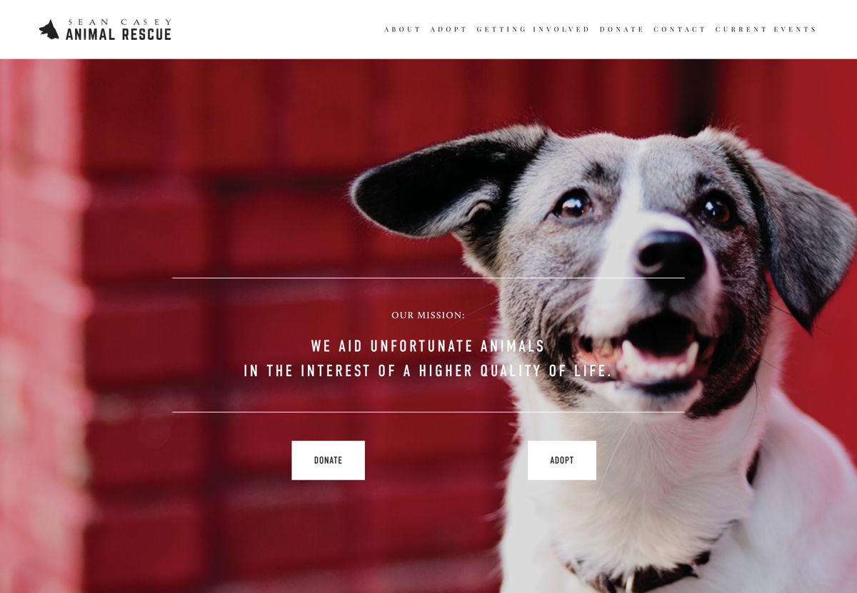 Screenshot of Sean Casey Animal Rescue, from the nonprofit & charity websites collection.