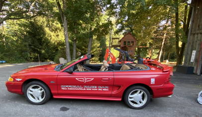 1994 ford mustang pace car gt place bid image