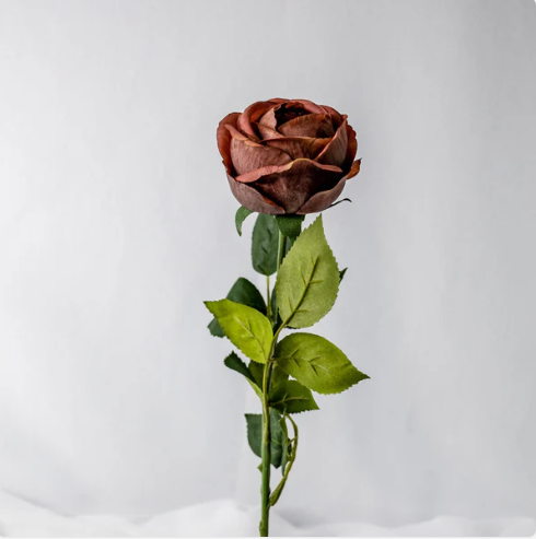 Coffee David Austin Real Touch Open Bud Rose - Realistic Artificial Flowers - Image 3