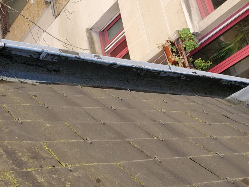 Travaux corde façade — Paris 8e