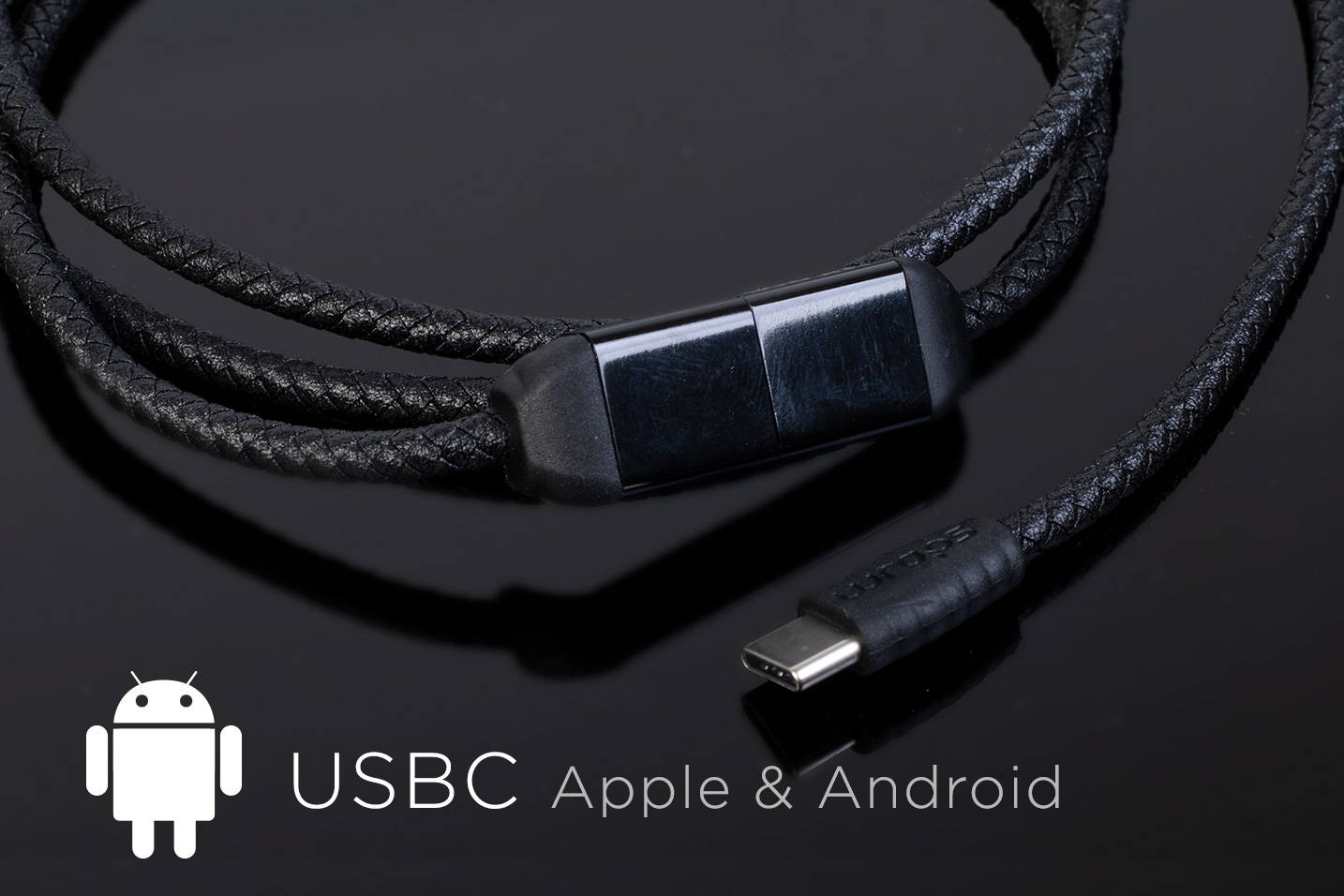 wraps usbc charge cable