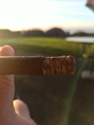 Cigar Session Photo