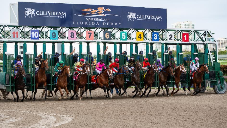 how to bet on the florida derby