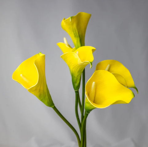 Yellow Mini Calla Lily - Realistic Artificial Flowers