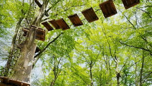 abenteuerpark potsdam blick zur hauptplattform