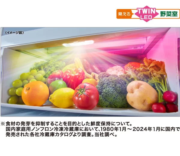 ツインLED野菜室
