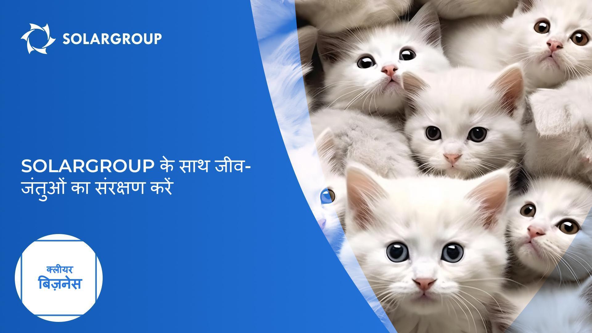 SOLARGROUP के साथ जीव-जंतुओं का संरक्षण करें | क्लियर बिज़नेस