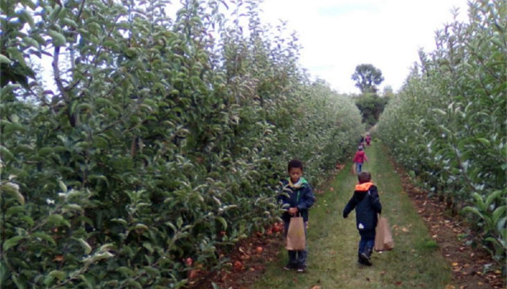 bester geburtstagde appel happel kinder pflücken äpfel
