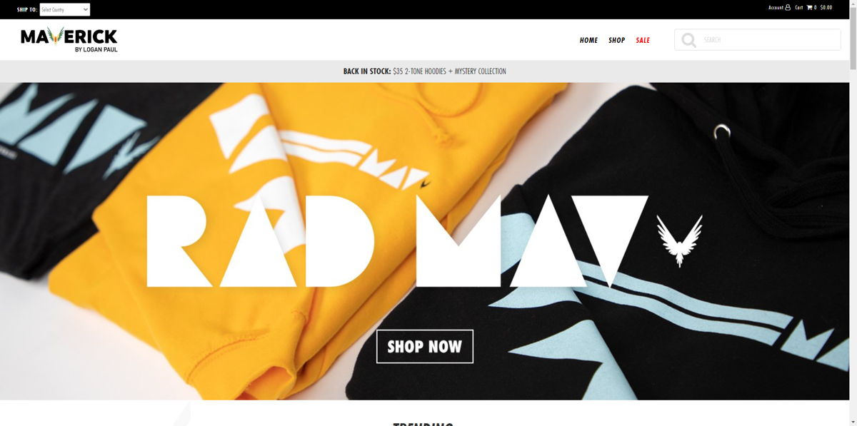 Screenshot of Maverick by Logan Paul, from the influencer websites collection.