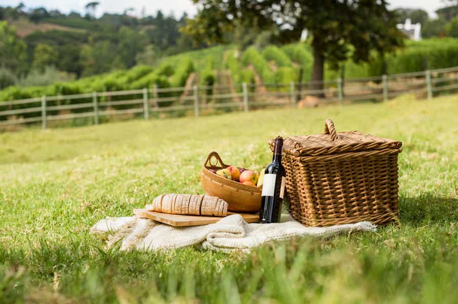 Picnics experience in Hungary - photo 3