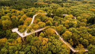 panabora übersicht baumwipfelpfad